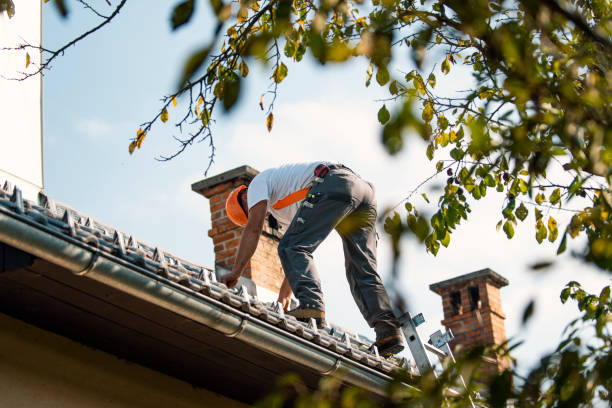 Best Storm Damage Roof Repair  in Monroeville, OH