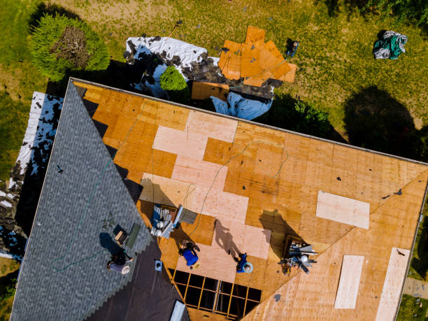 Best Roofing Contractor Near Me  in Monroeville, OH