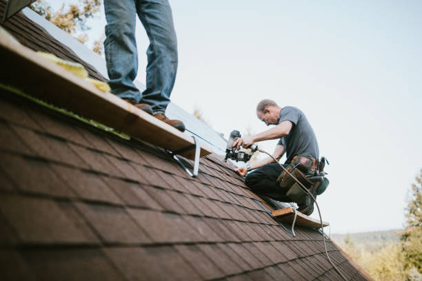 Best Local Roofing Companies  in Monroeville, OH