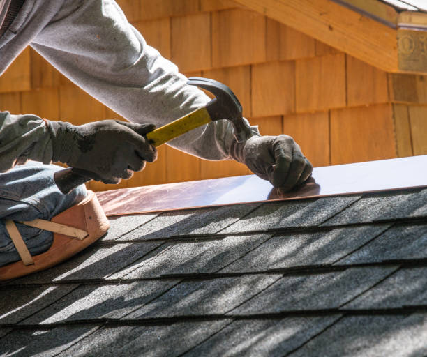 Best Roof Gutter Cleaning  in Monroeville, OH